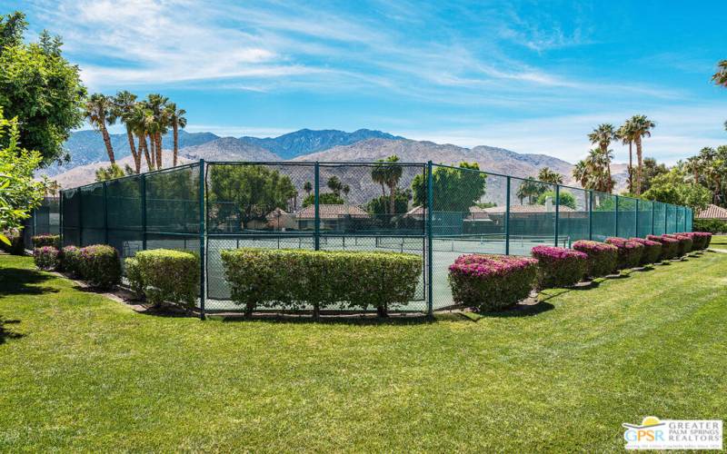 tennis/pickleball courts