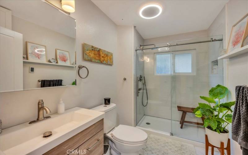 Lower level updated bathroom with walk in shower