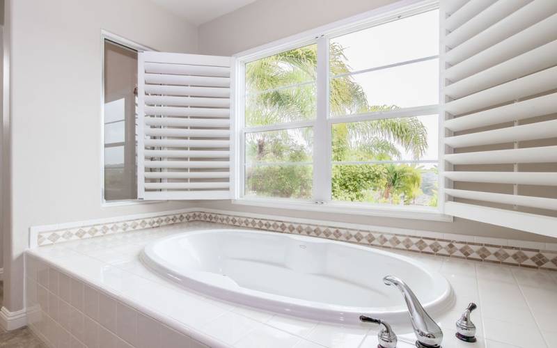 Master Bathroom Bathtub