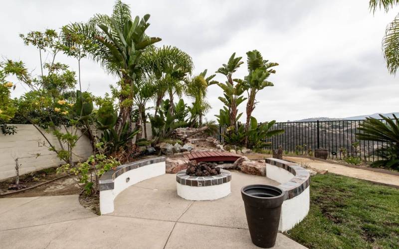 Backyard Fountain with Fire Pit