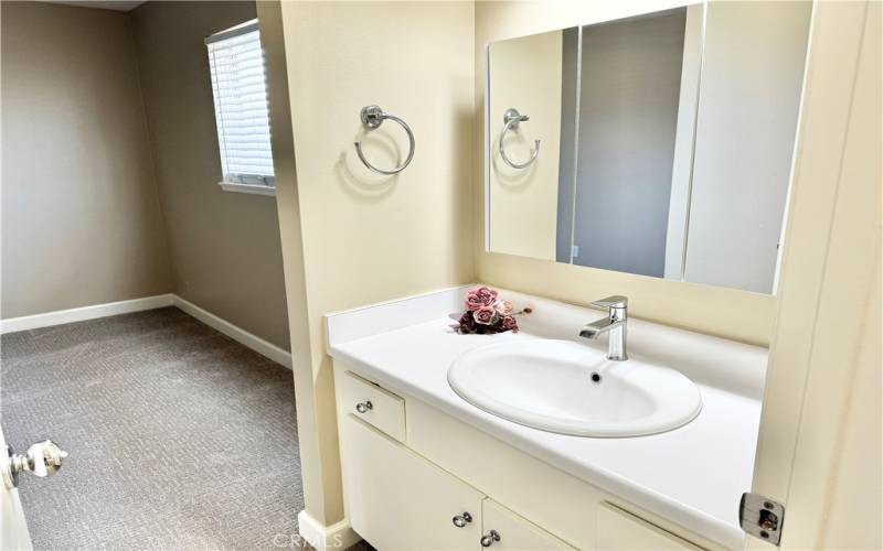 Single Vanity next to Bathroom in master