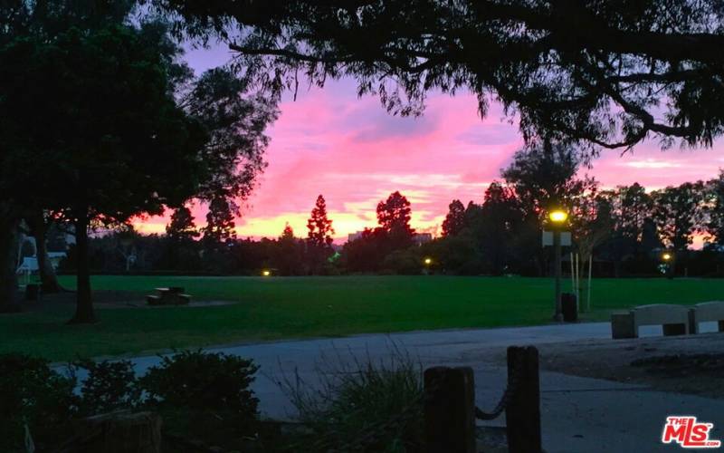 Fox Hills Park at dusk