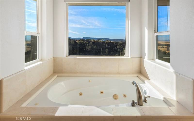 Primary Jet Tub with Views