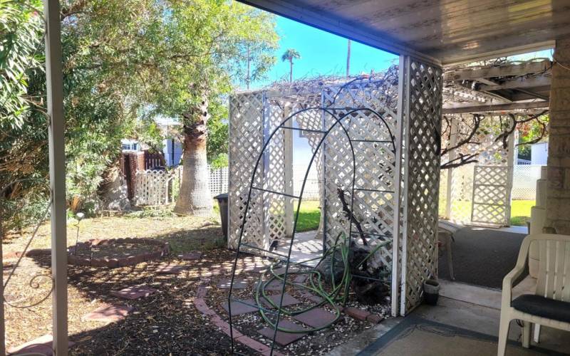 East Facing Patio and Yard