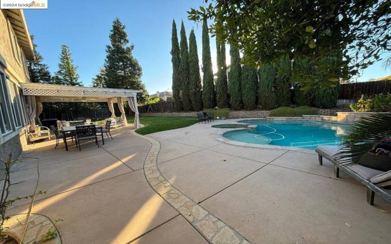 Backyard and Pool