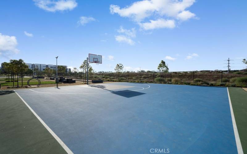 Basketball court