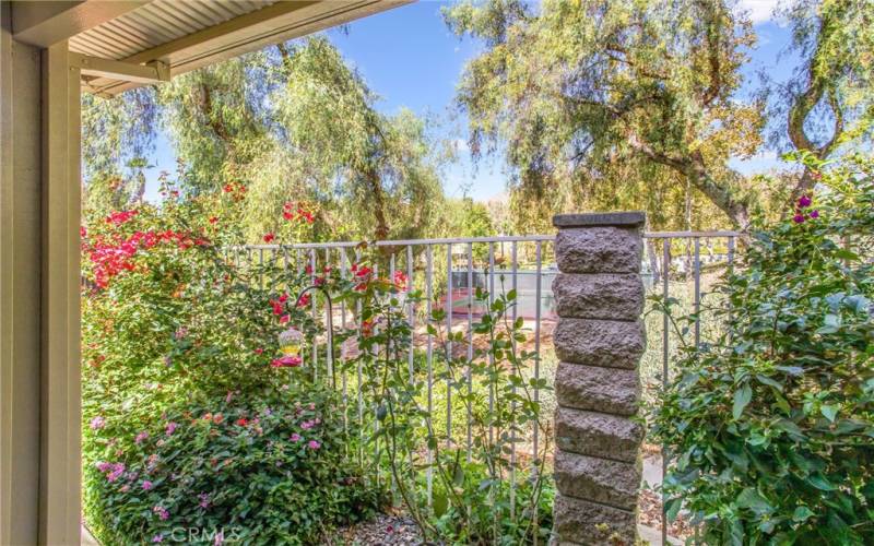 Nice views from the covered back patio