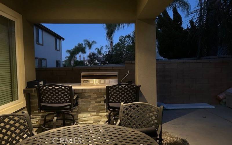 Back Patio Area with built-in BBQ.