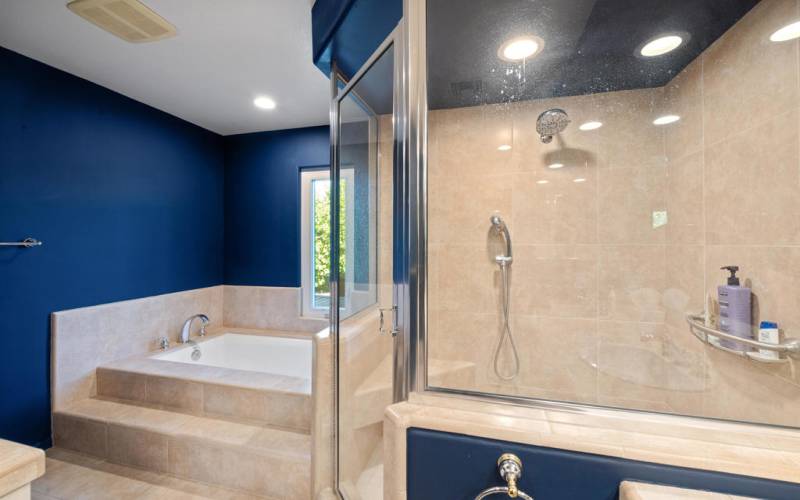 Primary Shower + Soaking Tub