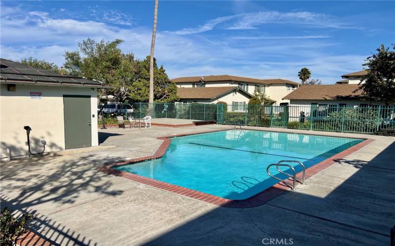 community swimming pool