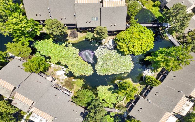 An aerial view of the condo's building to the right and the water views.