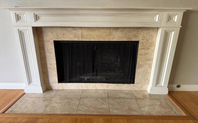 Gas fireplace