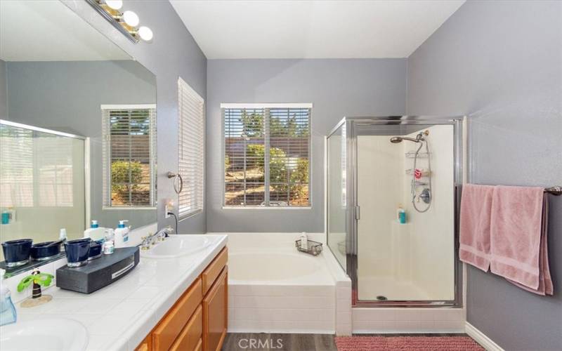 Primary Bathroom with soaking tub and walk-in shower