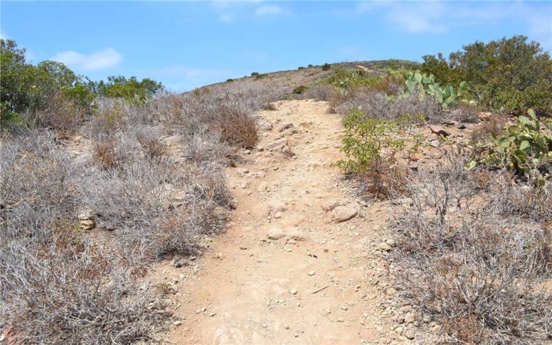 Santiago Oaks Regional Park