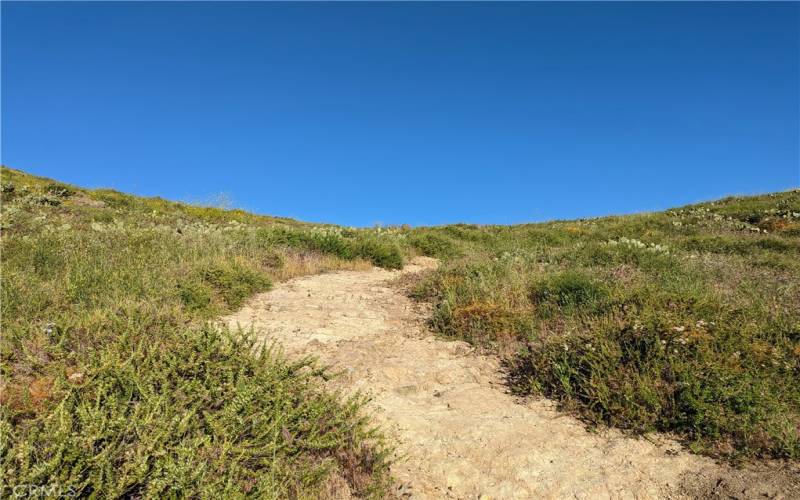 Santiago Oaks Regional Park