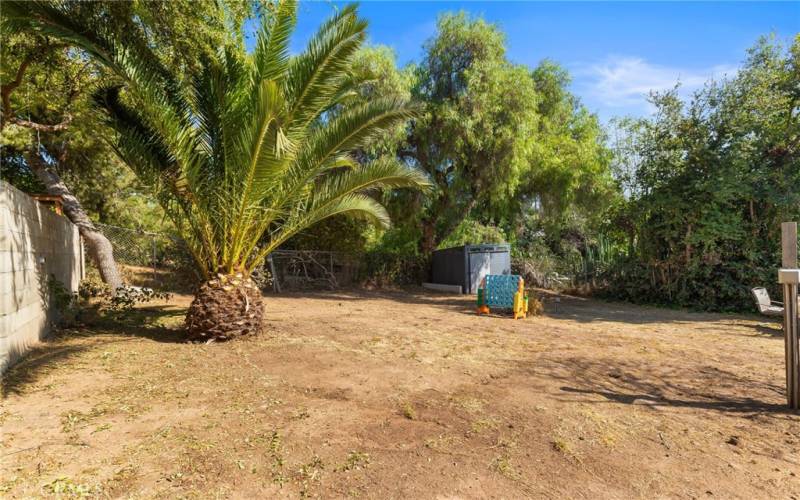 Backyard Level 3 with Storage Shed