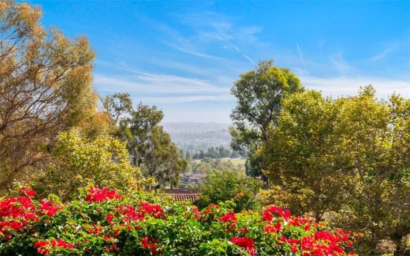 Mountain and Garden View Home