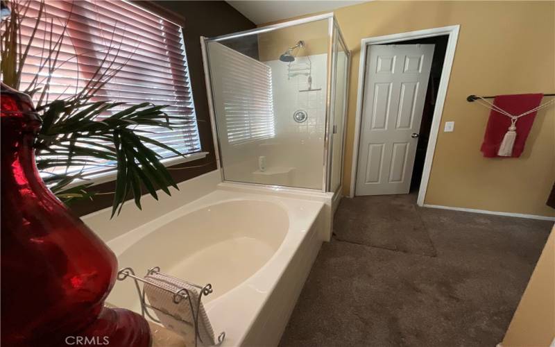 shower and tub Master bath