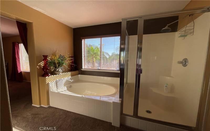 Master bathtub and shower view