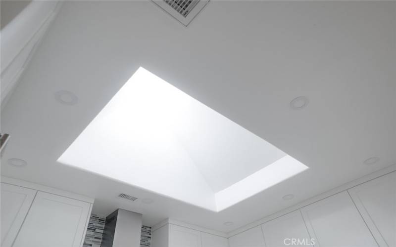 Large Skylight