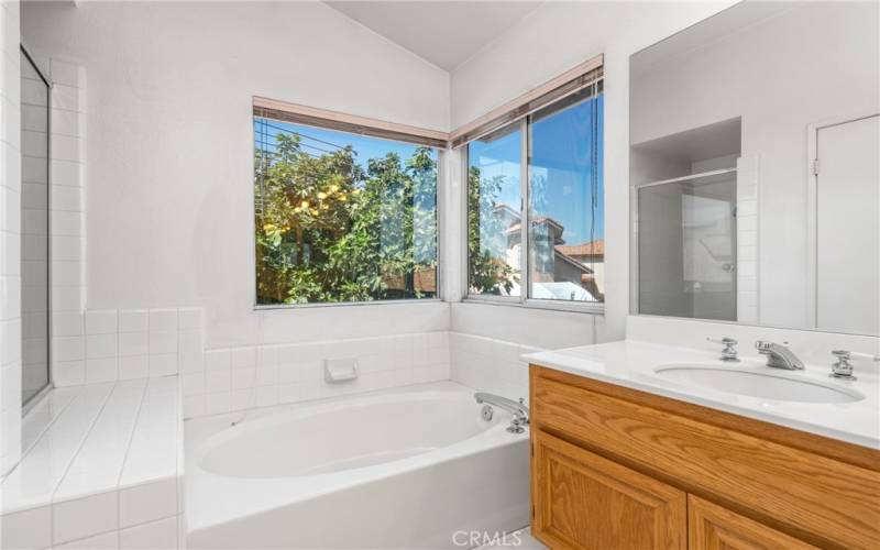 Soaking Tub And Separate Shower