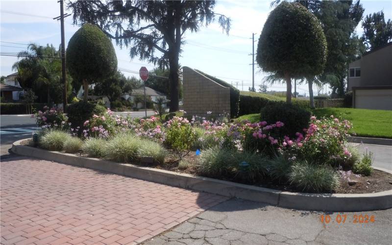 Maintained landscaping at community entrance.