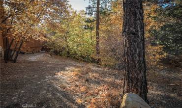 498 Pine Lane, Sugarloaf, California 92386, ,Land,Buy,498 Pine Lane,IG24223162