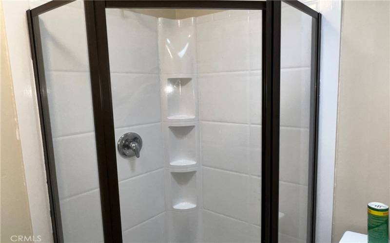 New Shower Door