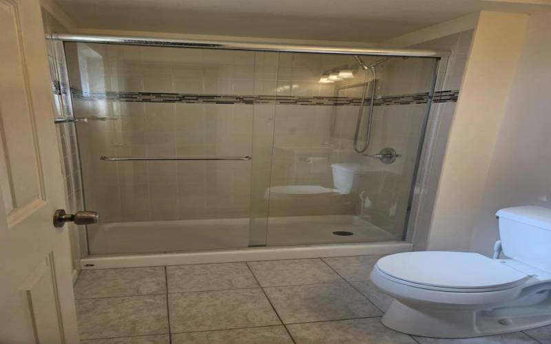 Master Bath Shower