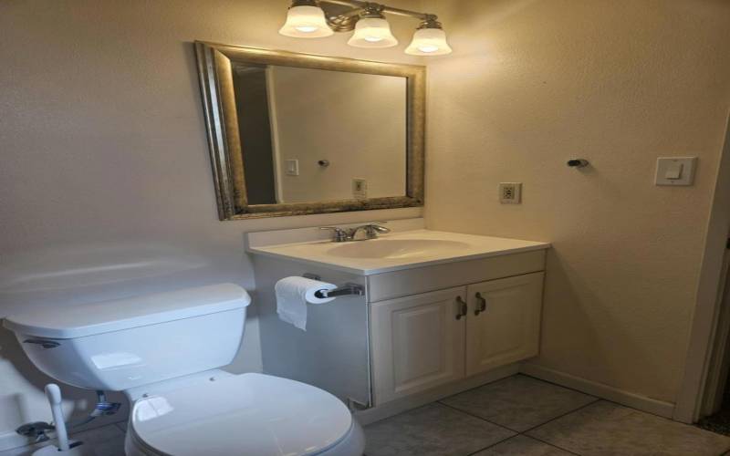 Master Bath Sink/Toilet