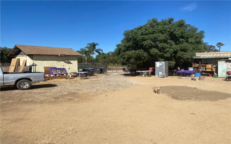 Front of Man Home with shed on the left