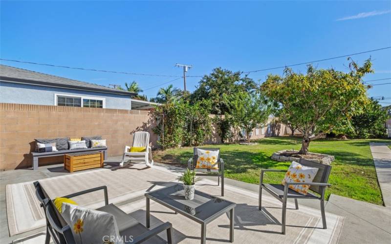 Nice patio in back yard.