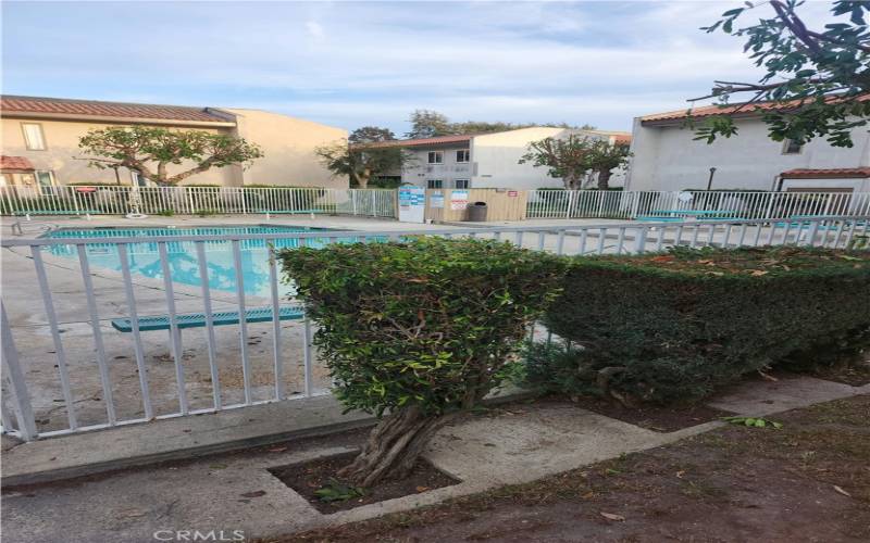 Greenery Surrounds The Pool Areas