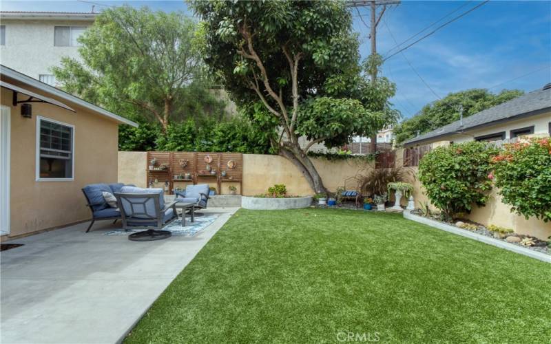 Low maintenance turf backyard