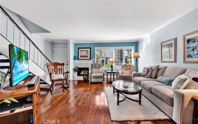 Living room with fireplace