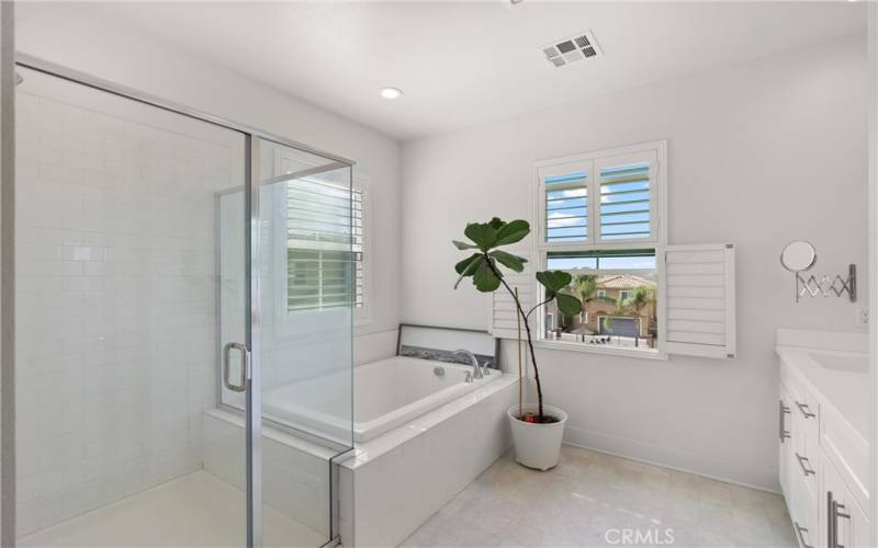 Separate walk-in shower and bathtub