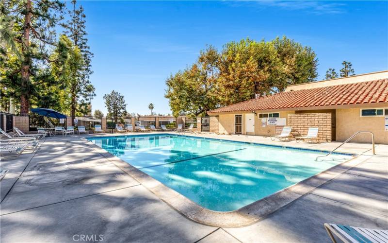 Community pool area with plenty of lounge chairs to soak up some Vit D.