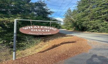 0 WHALEBONE GULCH, Boulder Creek, California 95006, ,Land,Buy,0 WHALEBONE GULCH,ML81985324