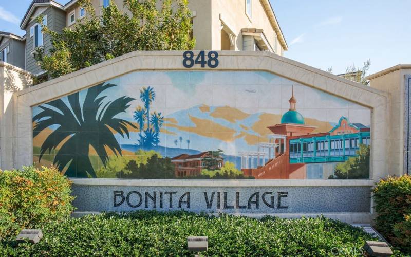 Bonita Village Community!