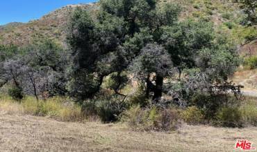 1 Newton Canyon Road, Malibu, California 90265, ,Land,Buy,1 Newton Canyon Road,24458393