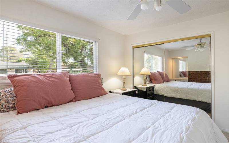 Mirrored Closet Doors and Large Windows