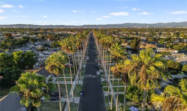 Palm Tree lined street