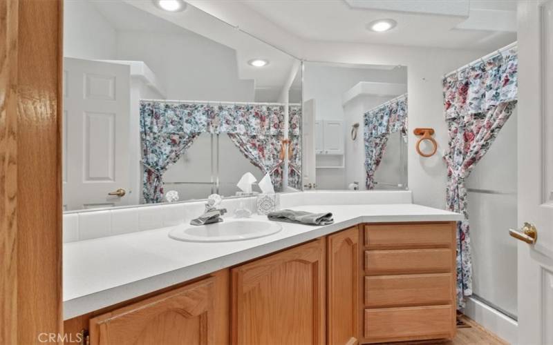 Hall bath featuring a skylight, large shower, and almost endless amounts of storage