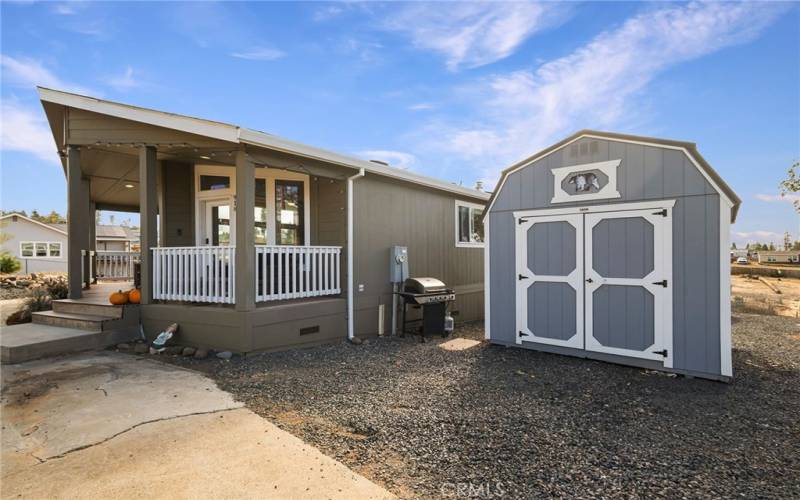 Side yard with shed