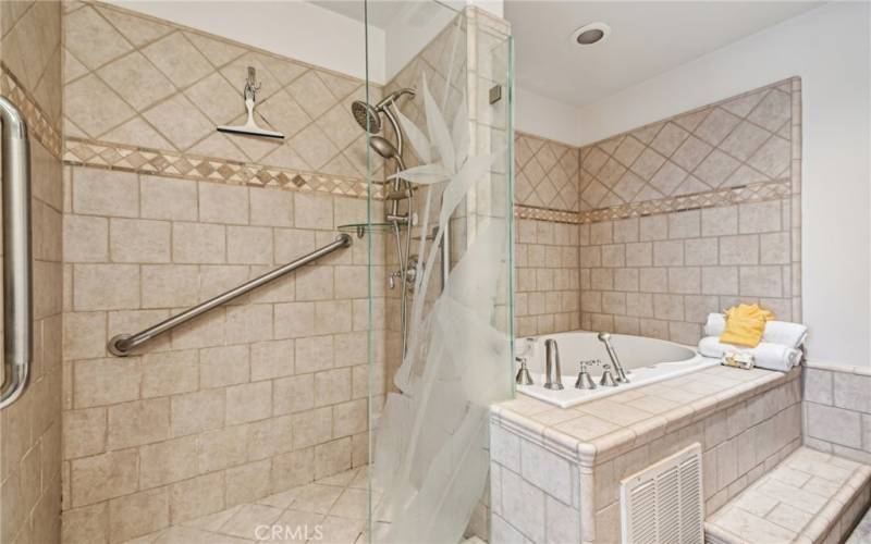 Step in Shower & Separate Jetted Tub