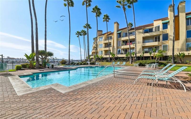 Salt Water Pool on the Harbor is Heated Year Round