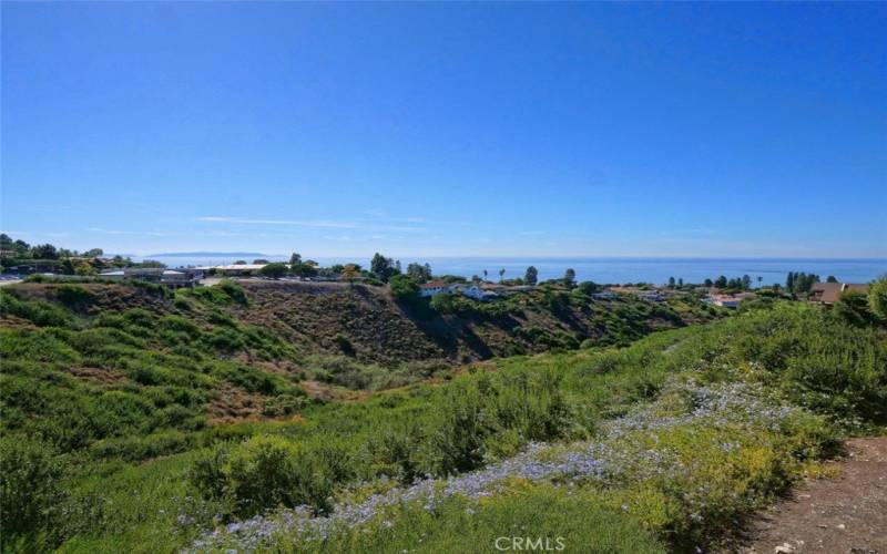 Beautiful Ocean and Catalina Views