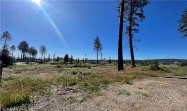 6634 Evergreen Lane, Paradise, California 95969, ,Land,Buy,6634 Evergreen Lane,SN24224890