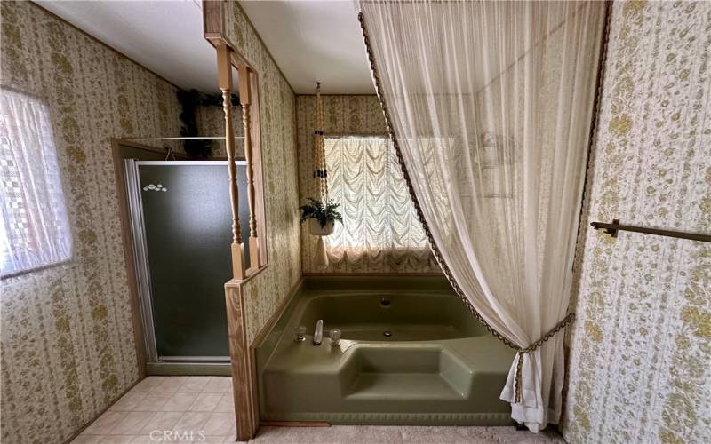 primary bath, walk in shower and tub