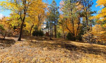 0 Ford Ln, Big Bear Lake, California 92315, ,Land,Buy,0 Ford Ln,IG24223979